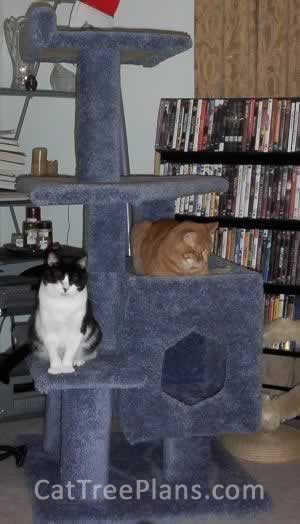 Cat Tree Plans Customer 020