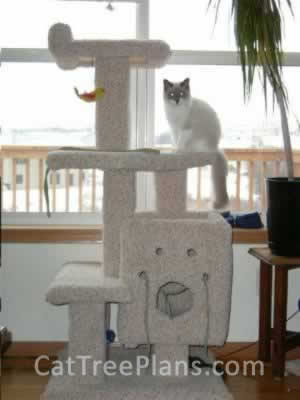 Cat Tree Plans Customer 021