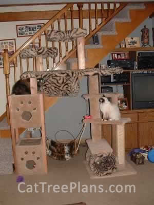 Cat Tree Plans Customer 023