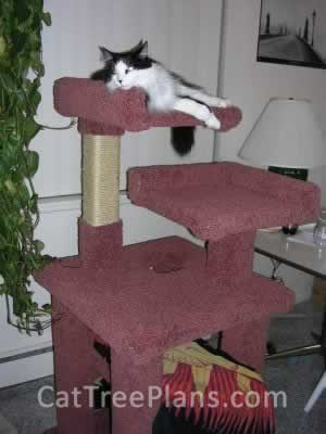 Cat Tree Plans Customer 028