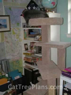 Cat Tree Plans Customer 030