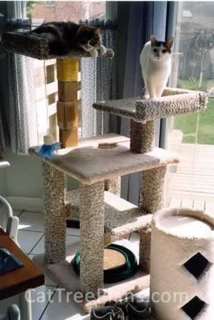 Cat Tree Plans Customer 032