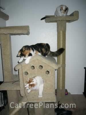 Cat Tree Plans Customer 037