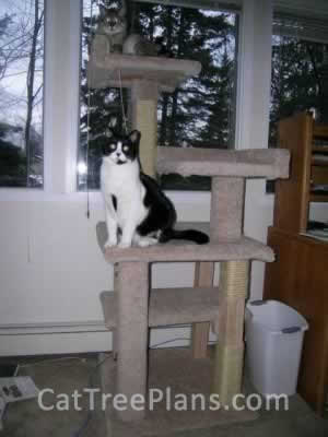 Cat Tree Plans Customer 044