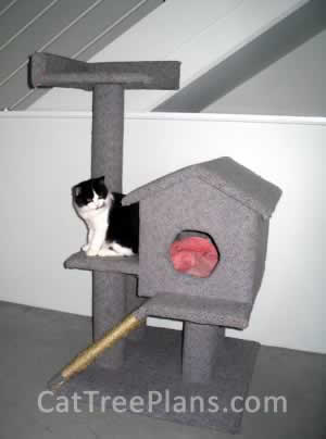 Cat Tree Plans Customer 049