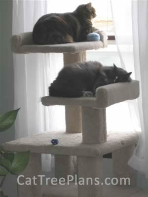 Cat Tree Plans Customer 056