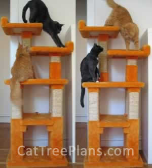 Cat Tree Plans Customer 058