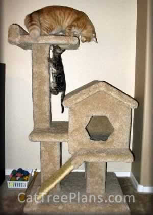 Cat Tree Plans Customer 059