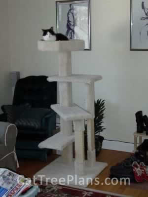 Cat Tree Plans Customer 060