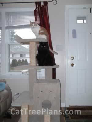 Cat Tree Plans Customer 061