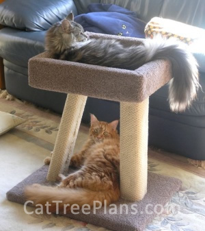 Cat Tree Plans Customer 062