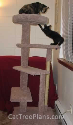 Cat Tree Plans Customer 064