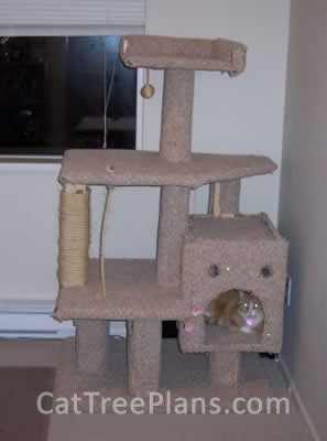 Cat Tree Plans Customer 067