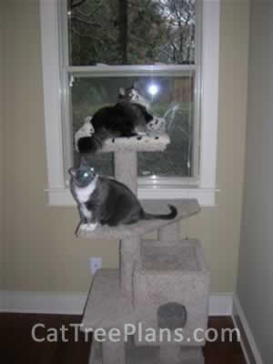 Cat Tree Plans Customer 068