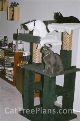 Cat Tree Plans Customer 069