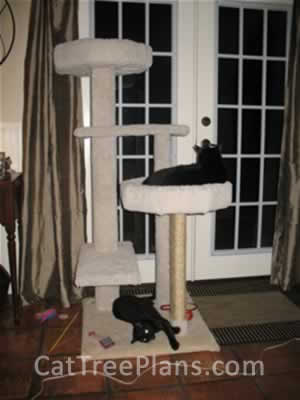 Cat Tree Plans Customer 071