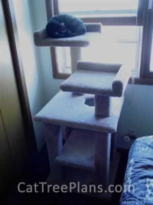 Cat Tree Plans Customer 072