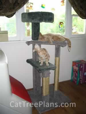 Cat Tree Plans Customer 074