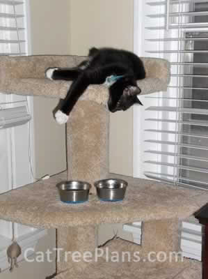 Cat Tree Plans Customer 075