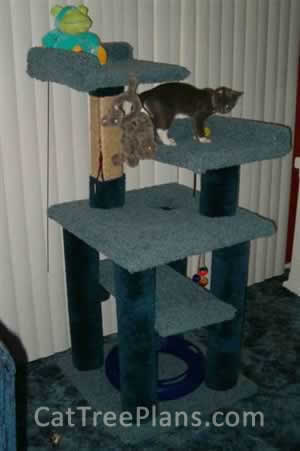 Cat Tree Plans Customer 076