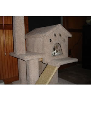 Cat Tree Plans Customer 086