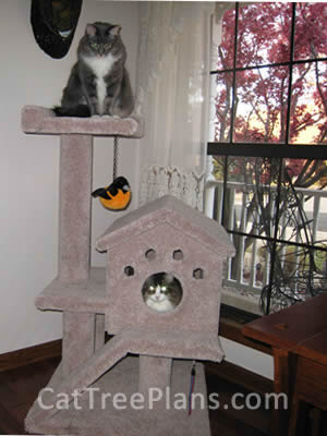 Cat Tree Plans Customer 092