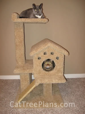 Cat Tree Plans Customer 094