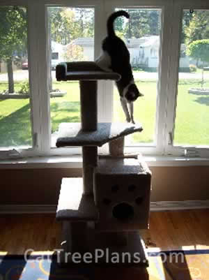 Cat Tree Plans Customer 096