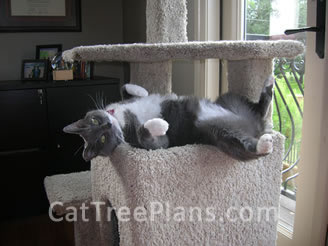 Cat Tree Plans Customer 097