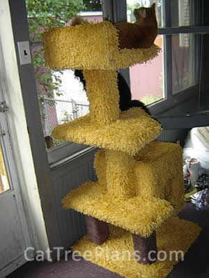 Cat Tree Plans Customer 100