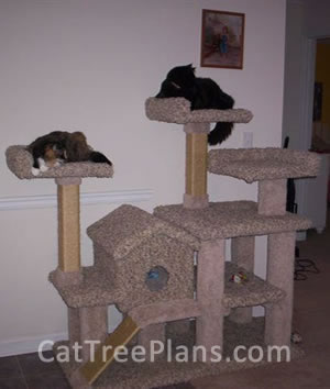 Cat Tree Plans Customer 102