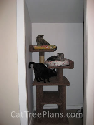 Cat Tree Plans Customer 105