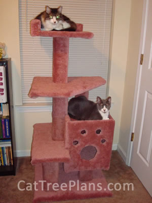 Cat Tree Plans Customer 106