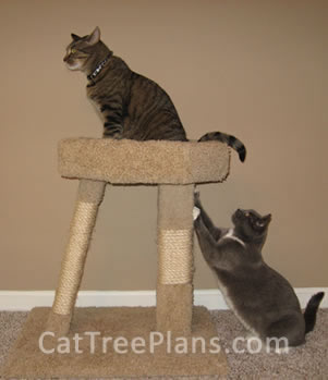 Cat Tree Plans Customer 109