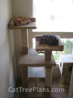 Cat Tree Plans Customer 111