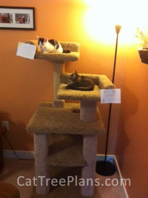 Cat Tree Plans Customer 116