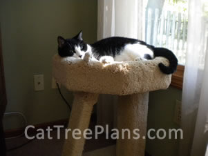 Cat Tree Plans Customer 117