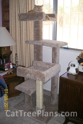 Cat Tree Plans Customer 118