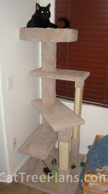 Cat Tree Plans Customer 120