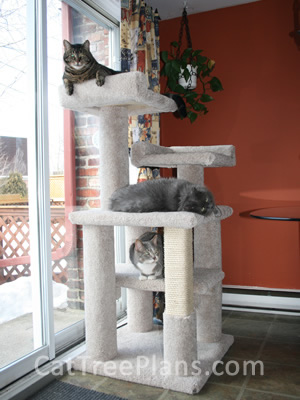 Cat Tree Plans Customer 121