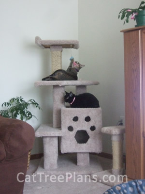 Cat Tree Plans Customer 128