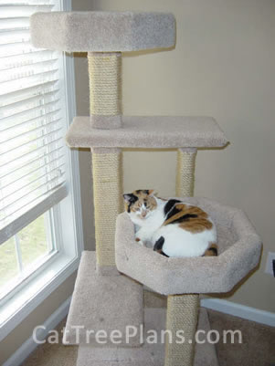 Cat Tree Plans Customer 132