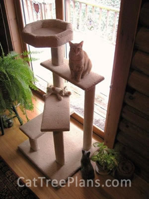 Cat Tree Plans Customer 135