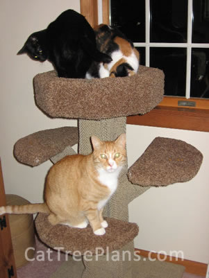 Cat Tree Plans Customer 137