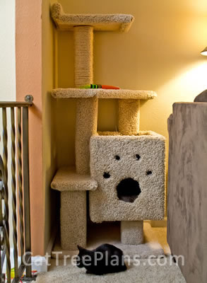 Cat Tree Plans Customer 144