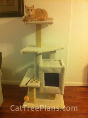 Cat Tree Plans Customer 145