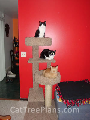 Cat Tree Plans Customer 148