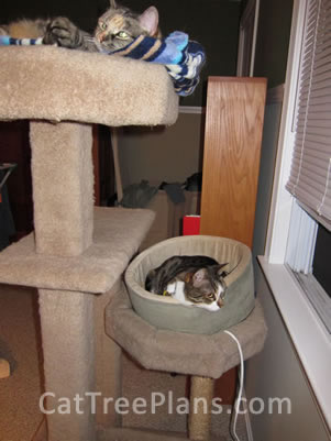 Cat Tree Plans Customer 149